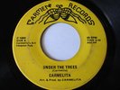 CARMELITA UNDER THE TREES RARE LATIN SOUL FUNK 45 HEAR