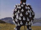 Pink Floyd/Delicate Sound Of Thunder.1988 UK Double LP.