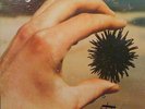 JOHN VILLEMONTE [This] PRIVATE [psych/folk] '79