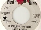 KANE & ABEL HE WILL BREAK YOUR HEART NORTHERN SOUL hear