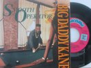 45 RPM w/PIC.SL-- BIG DADDY KANE... SMOOTH OPERATOR