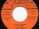 LISTEN - Rockabilly 45 - Andy Wilson - Little Mama - M-