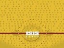 Isis- Celestial- Vinyl- Double LP-Neurosis-Envy-Boris