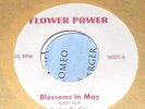 60's CHICAGO GARAGE Rock A Go Go's 45 Flower Power#5005