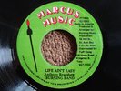 Anthony Bradshaw Life Aint Easy Killer Roots 7
