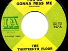 Garage 45- Thirteenth Floor Elevators-You're Gonna Miss