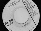 Rare Modern Soul 45 - DAVID SEA (Hy-Tyde)