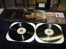 Limp Bizkit Chocolate Starfish and Hot Dog  Double LP