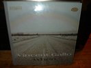 Vincent Gallo WHEN Lp Hardback Cover - Warp Records