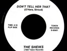 THE SHEIKS 45 VERY RARE CALI STYLE BOOGIE FUNK MP3?????