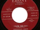 RARE BIRMINGHAM JUNIOR & LOVER BOYS Ebony 45 You're Bad