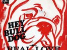 RARE 45T THE GODS HEY BULLDOG  LES BEATLES
