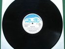 Pete Dello Into Your Ears V. Rare Nepentha LP No Cover