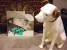 Dwight Yoakum 1st LP - Guitars Cadillacs etc. - Mint-