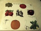 SEALED CREAM BEST OF ALBUM ATCO 1ST PRESSING LP CLAPTON