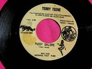 TERRY TEENE - Pussy Galore - California Fuzz Garage 45