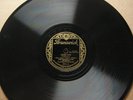 Brunswick 3812 Herb Wiedoeft Orch 