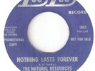 NORTHERN SOUL  NATURAL RESOURCES  NOTHING LASTS FOREVER