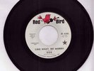 006 Like What Me RARE Garage Punk 45 Fuzz Pebbles Hear