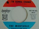 THE MONTANAS I'm Gonna Change DJ Promo 45 IND-87 1968