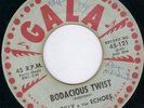 SURF ROCKABILLY INSTRUMENTALS BILLY & THE ECHOES (HEAR)