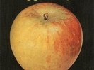 THE APPLE - AN APPLE A DAY (VERY RARE UK PSYCH ALBUM)