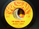 Rare Northern Soul Mickey Lanay - I'm Gonna Walk