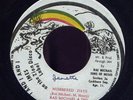 Ras Michael Numbered Days JA 45 Listen