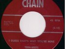 Garage Surf Rocker 45 - TEEN-BEETS - I Guess That's ...