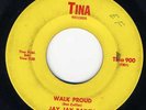 jay jay bailey walk proud rare carolina funk 45 listen
