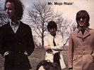 THE DOORS MR. MOJO RISIN' 2 LP