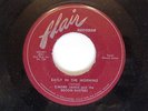 RARE BLUES 45 FLAIR LABEL 1011 