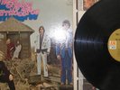 THE FLYING BURRITO BROTHERS GILDED PALACE NICE COPY
