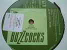 BUZZCOCKS what do i get UK UA 1978 ORIG 1 SIDED DEMO M