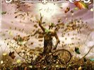 STRATOVARIUS LP ELEMENTS PT.2 - VINYL TRANSPARENT - CLEAR VINYL