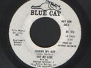 The Ad Libs - Johnny my boy  -  Northern Soul  Listen