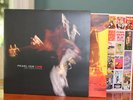 Pearl Jam Live on Two Legs Vinyl Double LP