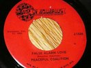 PRIVATE 1960s WI Garage 45 PEACEFUL COALITION Age Of Aq