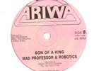 MAD PROFESSOR  -  SON OF A KING      shaka stepper HEAR