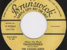 Tittyshaker 45-Casual-Aires-Thunderbird-Brunswick-Hear