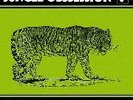 NINO NARDINI/ROGER ROGER-Jungle Obssession-71 EXOTICALP