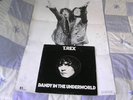 T.REX LP DANDY IN THE UNDERWORLD EMI GOOD PLUS POSTER
