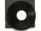 DETROIT COBRAS mink LP TESTPRESS garage april march kbd