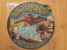 DJ Shadow In/flux 12” PICTURE disc Mo Wax