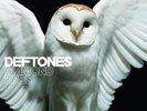DEFTONES 