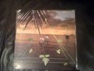 Sun Araw - Beach Head LP psych blank dogs wavves lo fi