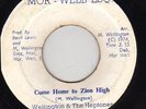 COME HOME TO ZION HIGH / PLEASANT VALLEY SKANK - WELLIN