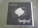 ASKA / HYPOTHERMIA split 7