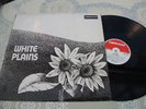 A RARE WHITE PLAINS ALBUM  ON  DERAM  RECORDS  1970