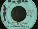 Four Sonics Plus One Rare Northern Soul 45 Sepia HEAR